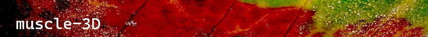banner image