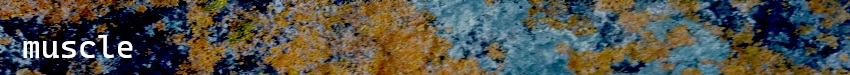 banner image